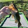 @swamp_rat_fla1126