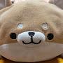 @Shibainu-dayo