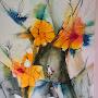 @enaid7911