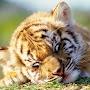 @user-ll7lm7jt5i