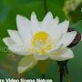 @수연-i2w9c