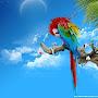 @AtHuLAjItH7