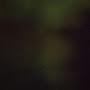@NanhjsNsnnaan