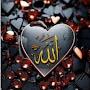 @Hayat72a