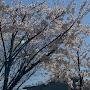 @Zaytun4jin3-113