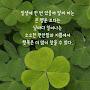 @이난희-d1h