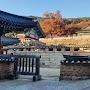 @자유로운영혼-j9w
