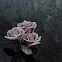 @raheelkhoso4055