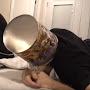 @scuffedmarshmello9334