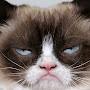 @grumpy2327