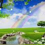 @faisalrayer4576