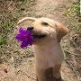 @fahdqadir6212