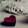 @thasleenajahfar1416