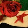 @hassanhk72