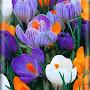 @Vijai342