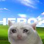 @cherokyy