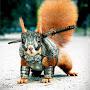 @armoredsquirrel946