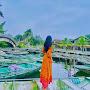 @thiminh4730