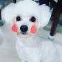 @몽이-w2o