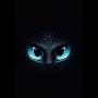 @alone4707-d7l