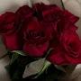 @محمودمحمود-غ3ظ1ص