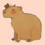 @Capybara_18c