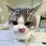 @Moon_st4r12
