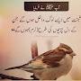 @hinazafeer.official1724