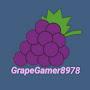 @user-GrapeGamer8978