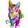 @Picasocat