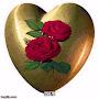 @nidaalbaniadonesubscribedk710