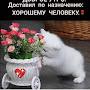 @engold2827