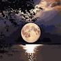 @moon623_e