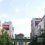@otakupapa01