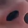 @TylersRightNostril