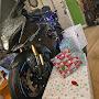 @cliftone.wyattjr.6741