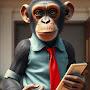 @Awais555Krni