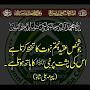 @nasirhussain3738