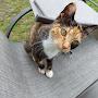 @gatosyGatos8325