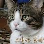 @귐춸수