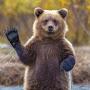 @beartime121