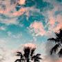 @sheillahbyabazaire5562