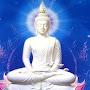 @KVMADHAVAREDDY