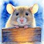 @thecatholicmouse
