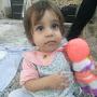 @rezazand9008