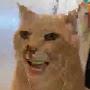 @tragedy-