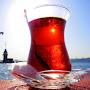 @erdincylmaz2842