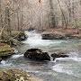 @jacelandadventures1523