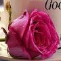 @RajeshSharma-ew5bs