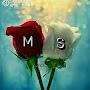 @upputhalamounika984